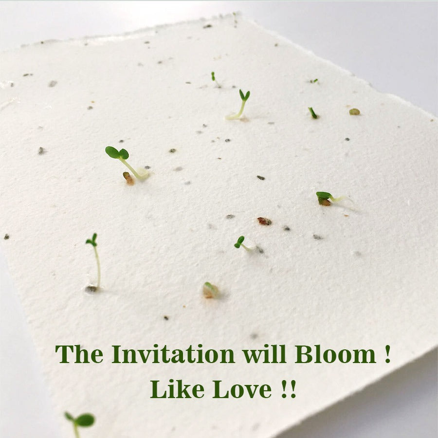 Modern Floral Seed Paper Wedding Card