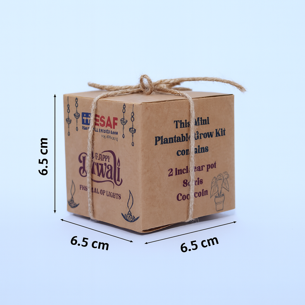 Sustainable Corporate Gifting Idea