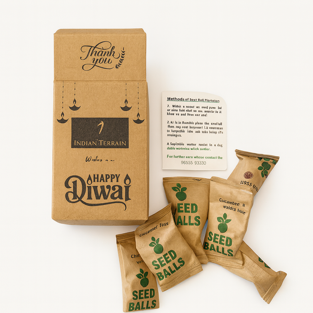 Eco-Friendly Pack of 6 Seed Balls in Custom Printed Kraft Box – Perfect Diwali Corporate Gift for Employees, Clients & Sustainable Festive Gifting
