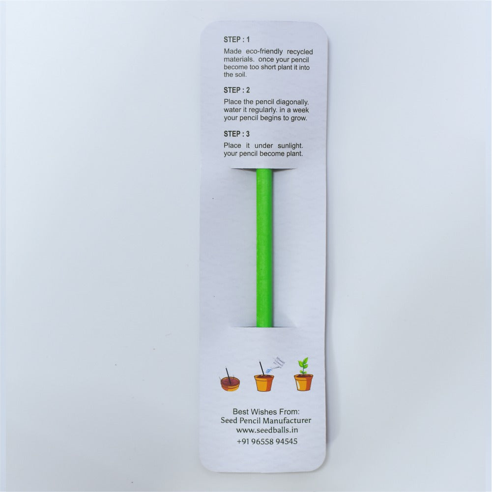 Eco friendly Seed Pencil with Customize Printed card for Birthday Return Gift