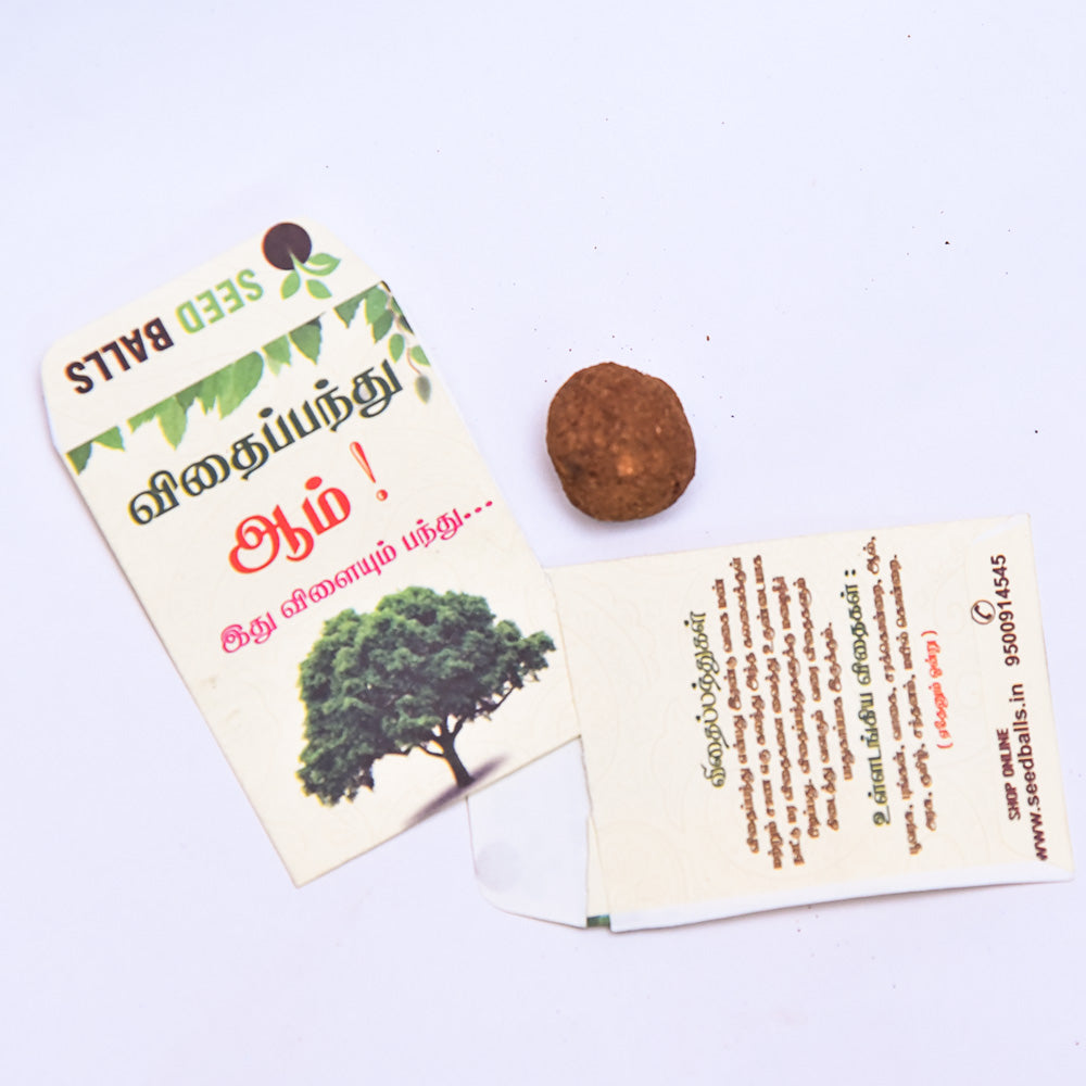 Tree Seed Ball, Pack of 1 Seed Ball