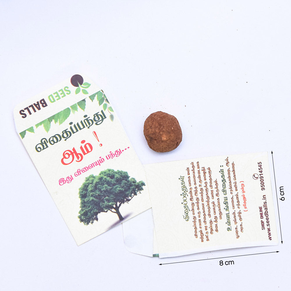 Tree Seed Ball, Pack of 1 Seed Ball
