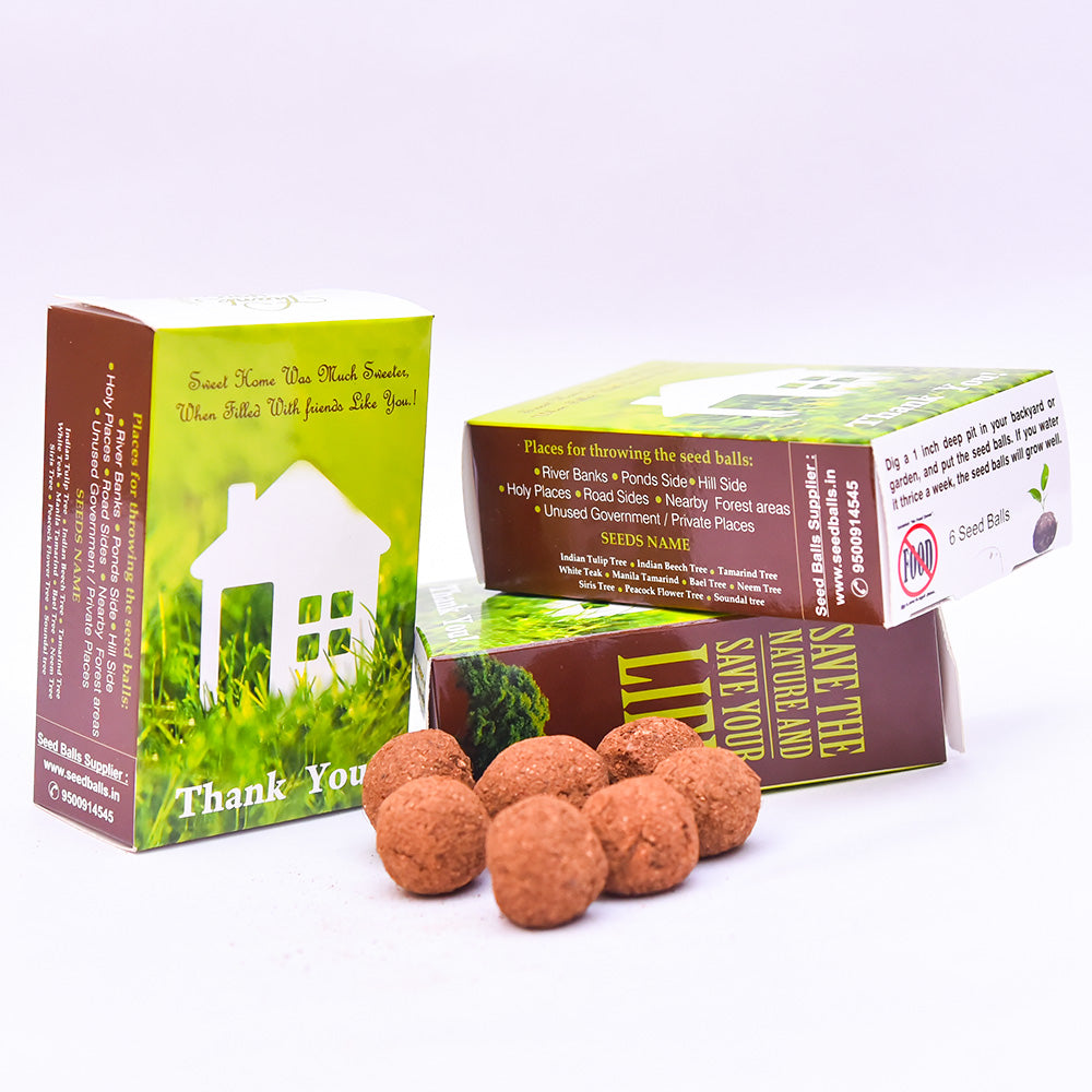 House Warming Return Gift, Pack of 6 Seed Balls ( Print language English )